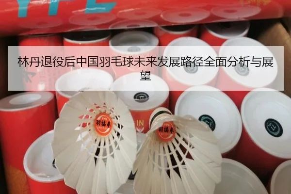 林丹退役后中国羽毛球未来发展路径全面分析与展望
